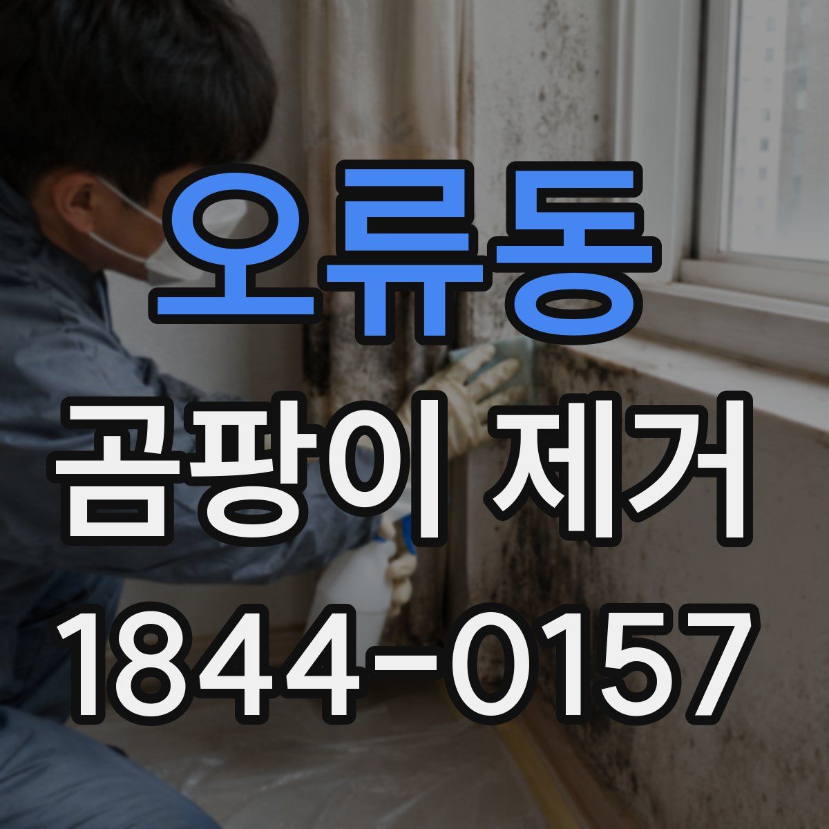 오류동 곰팡이 제거