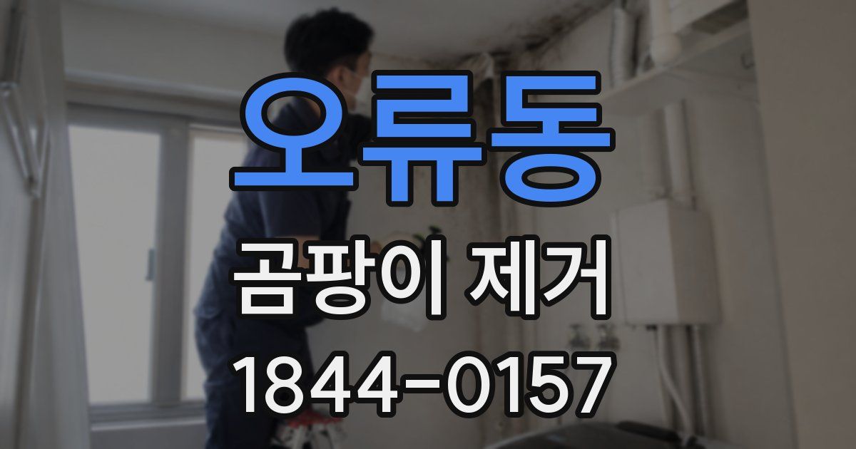 오류동 곰팡이 제거