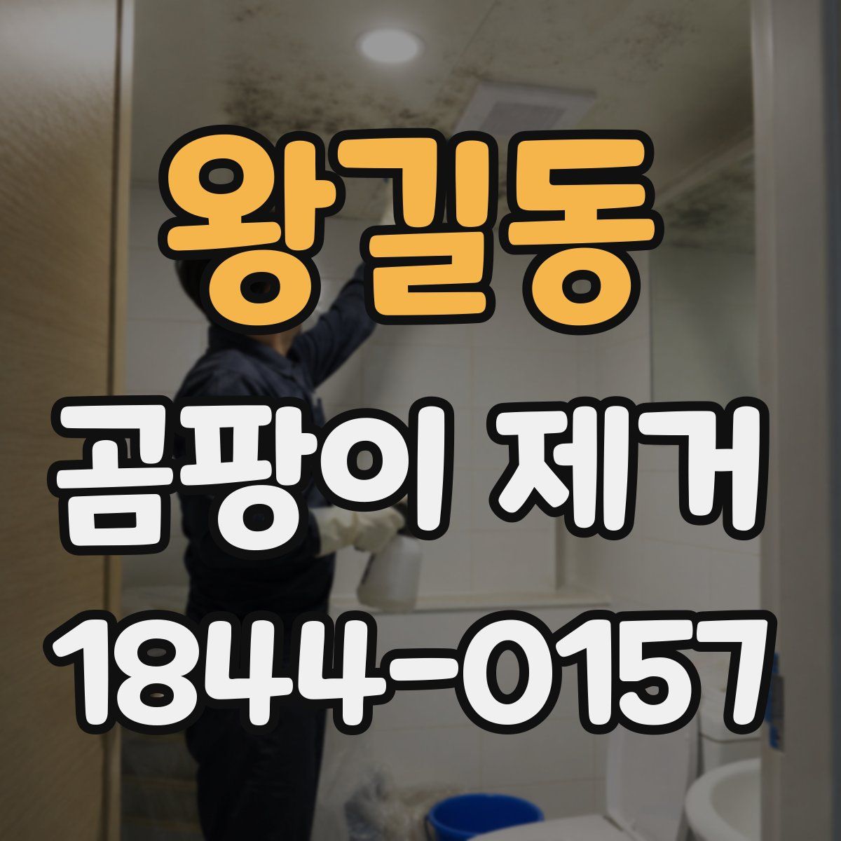 왕길동 곰팡이 제거