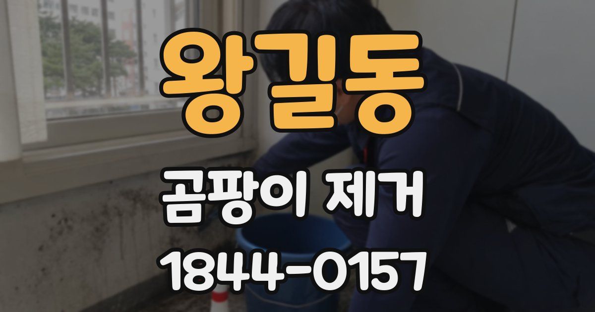 왕길동 곰팡이 제거