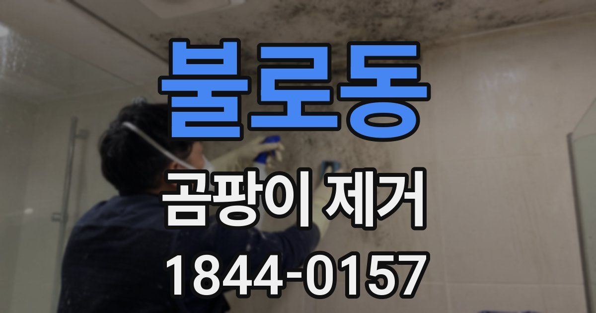 불로동 곰팡이 제거