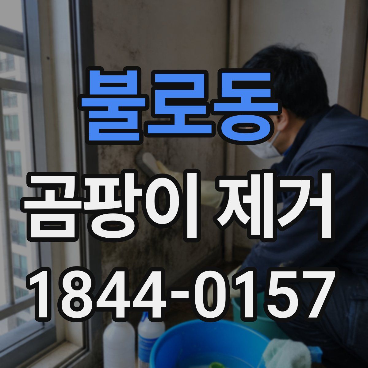 불로동 곰팡이 제거