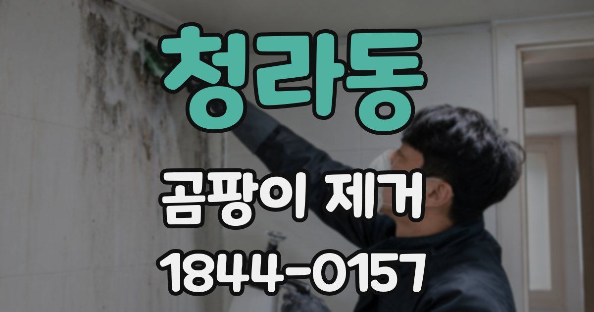 청라동 곰팡이 제거