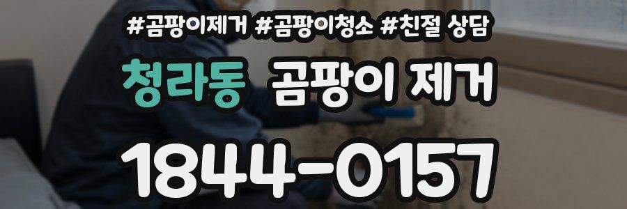 청라동 곰팡이 제거