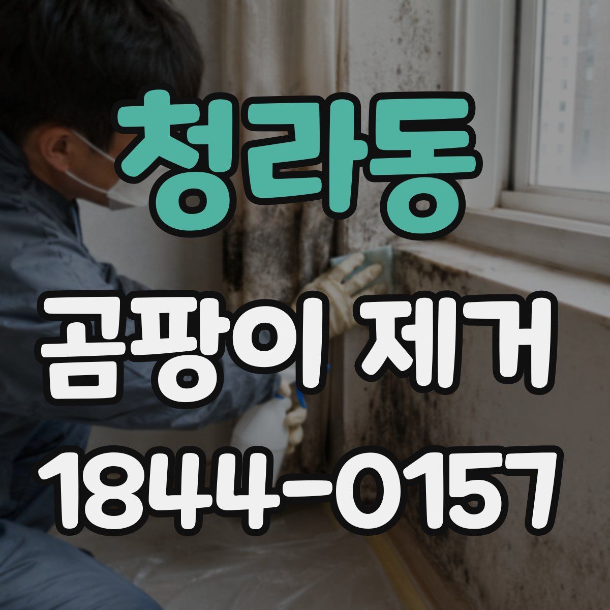 청라동 곰팡이 제거