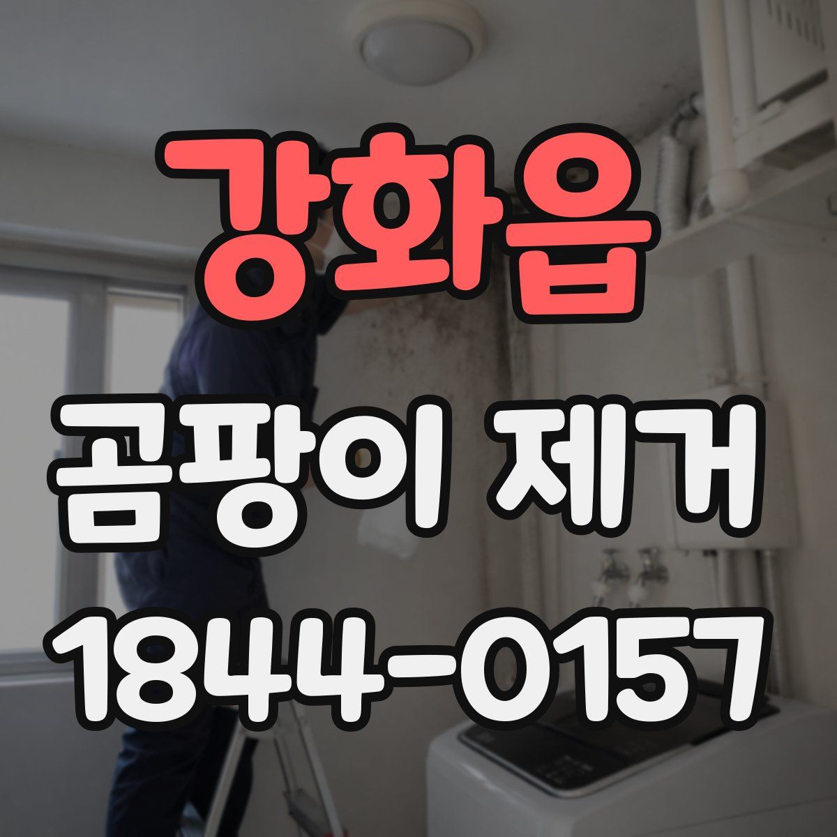 강화읍 곰팡이 제거