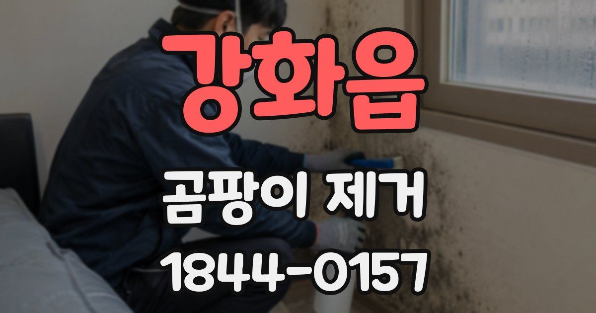 강화읍 곰팡이 제거