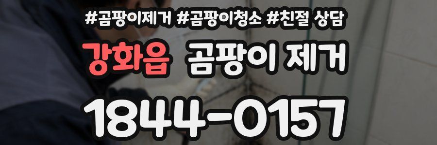 강화읍 곰팡이 제거