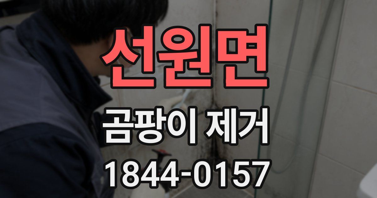 선원면 곰팡이 제거