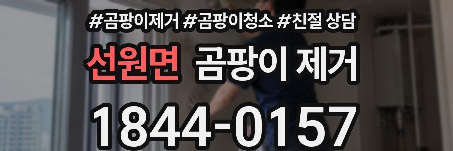 선원면 곰팡이 제거