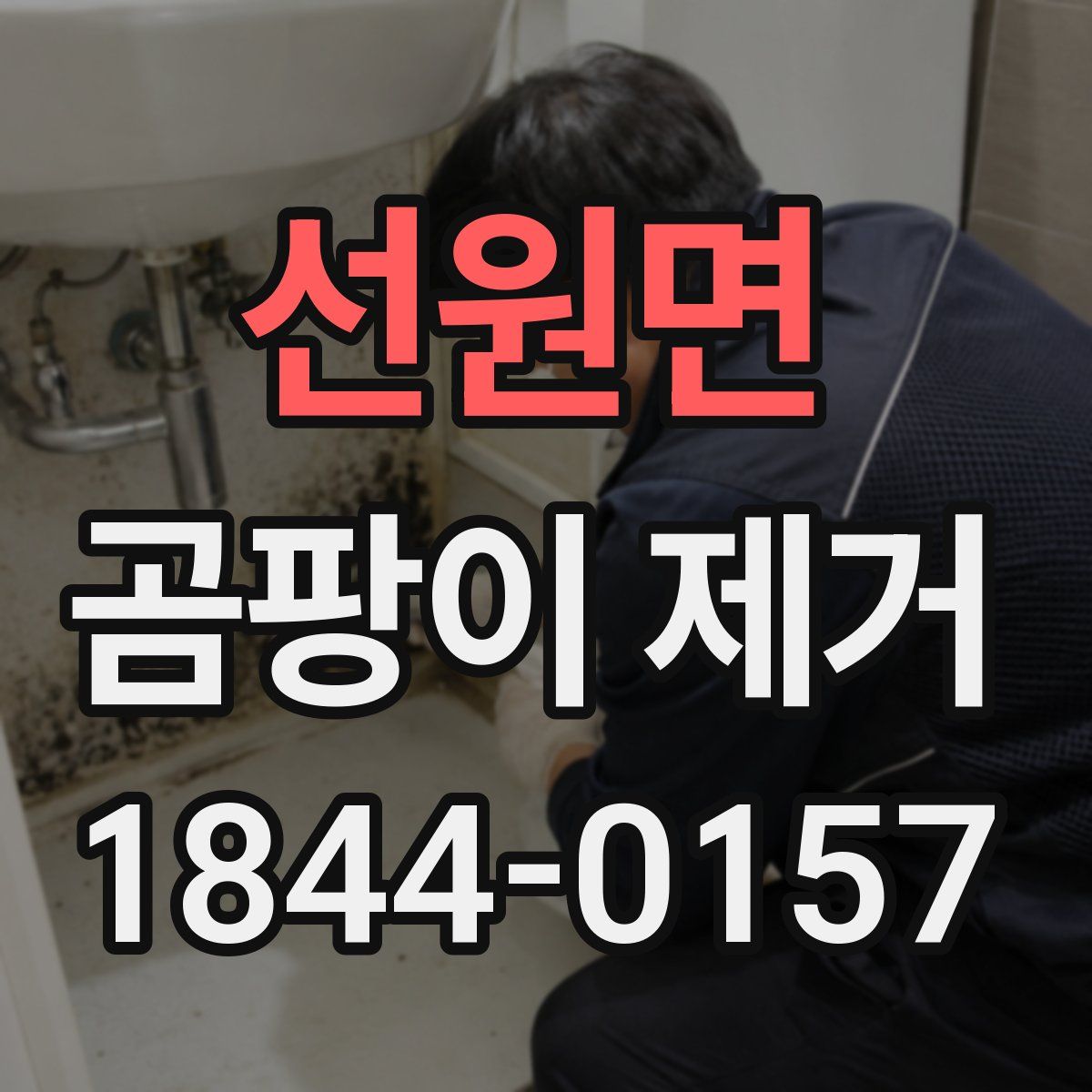 선원면 곰팡이 제거