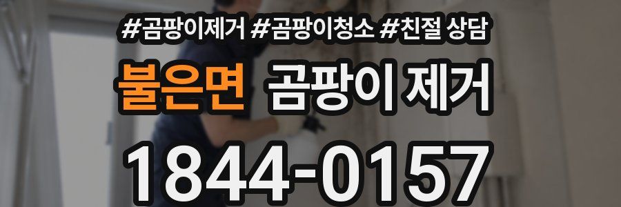 불은면 곰팡이 제거