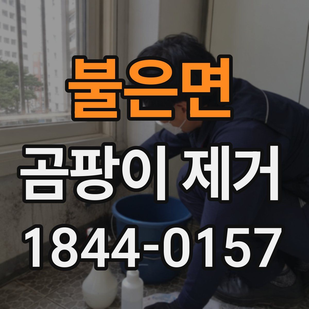 불은면 곰팡이 제거