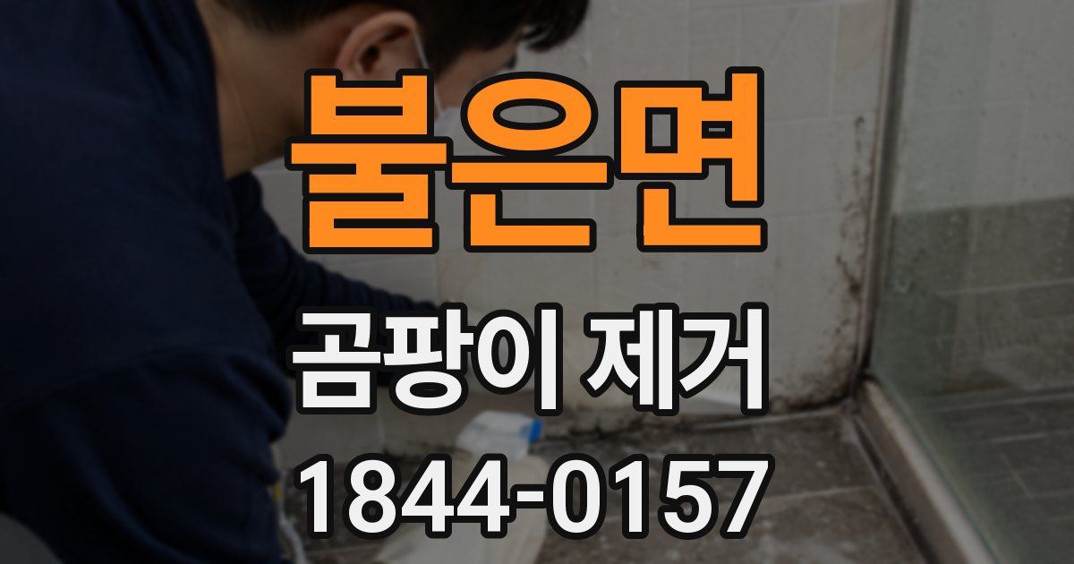 불은면 곰팡이 제거