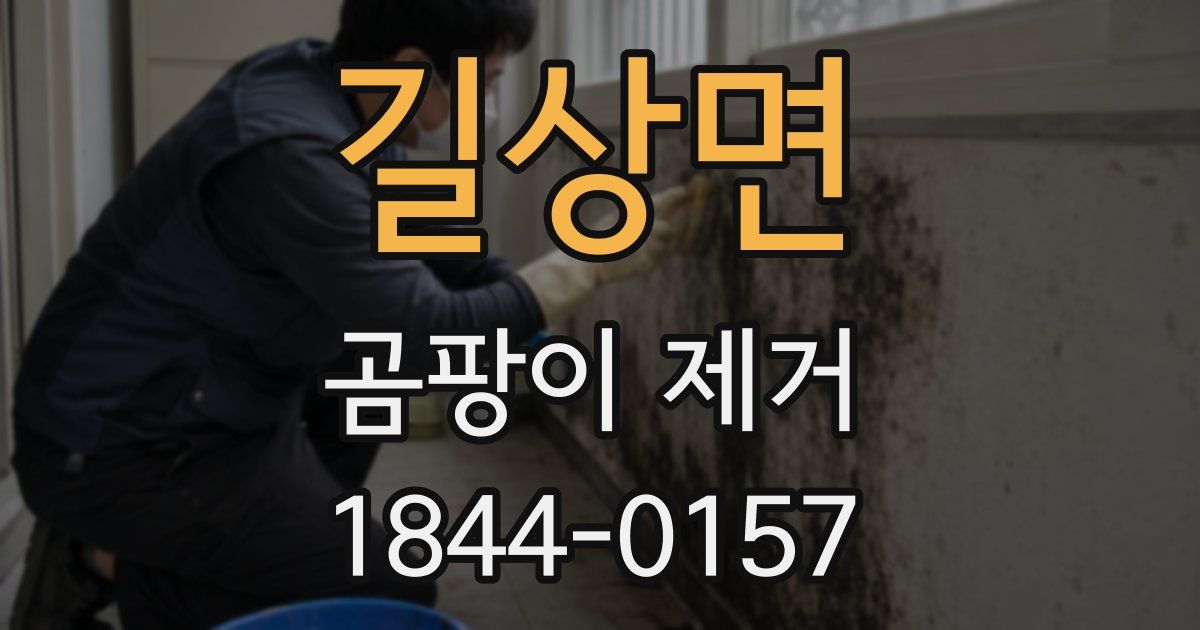 길상면 곰팡이 제거