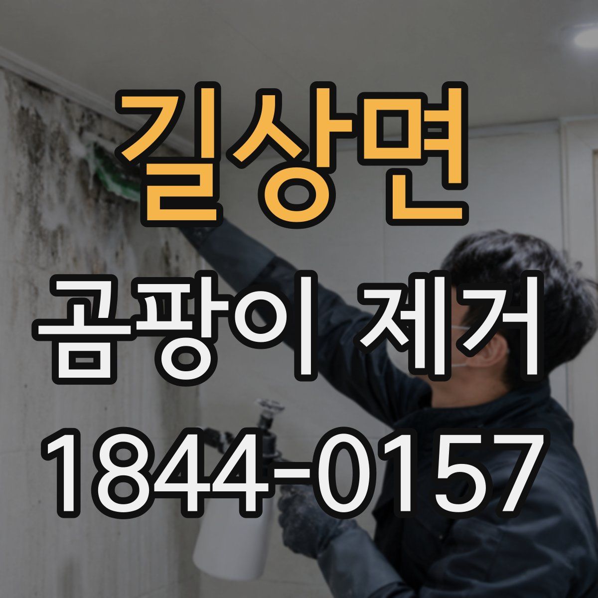 길상면 곰팡이 제거