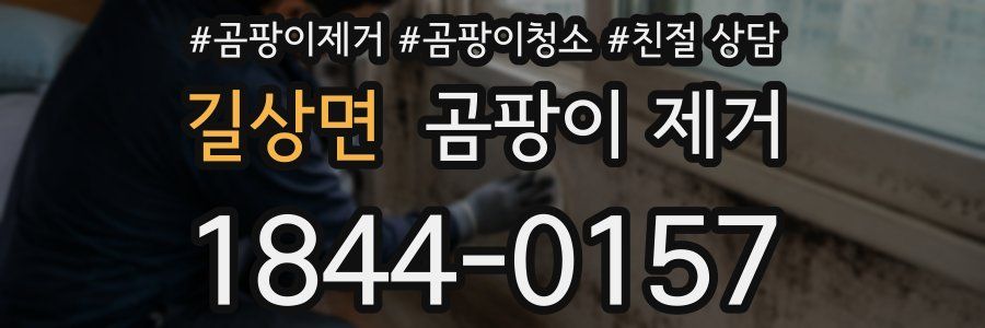 길상면 곰팡이 제거