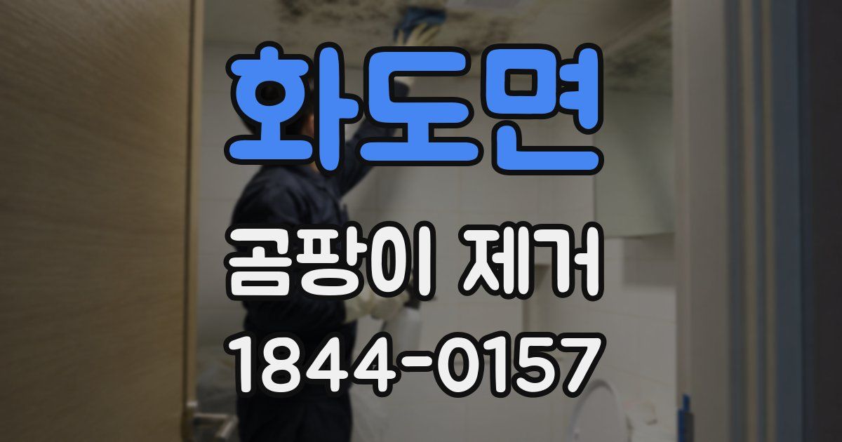 화도면 곰팡이 제거