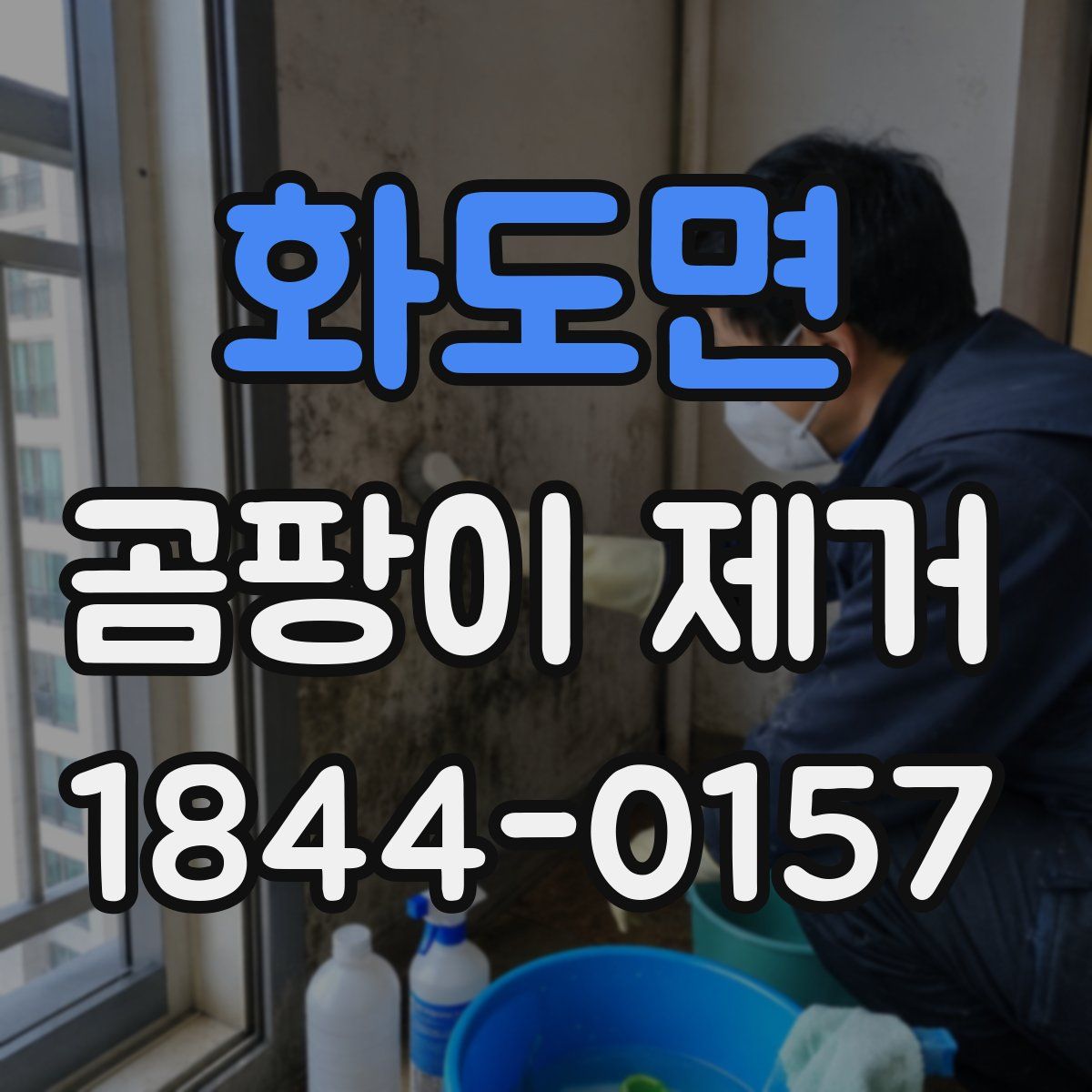 화도면 곰팡이 제거