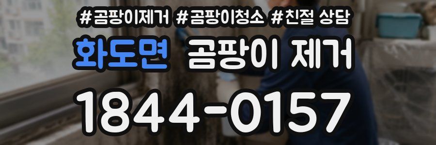 화도면 곰팡이 제거
