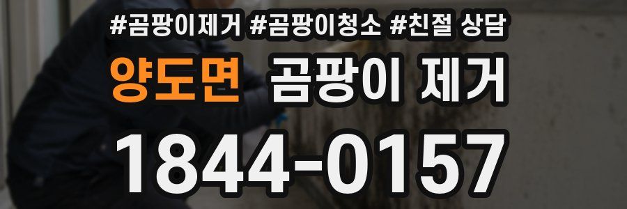 양도면 곰팡이 제거