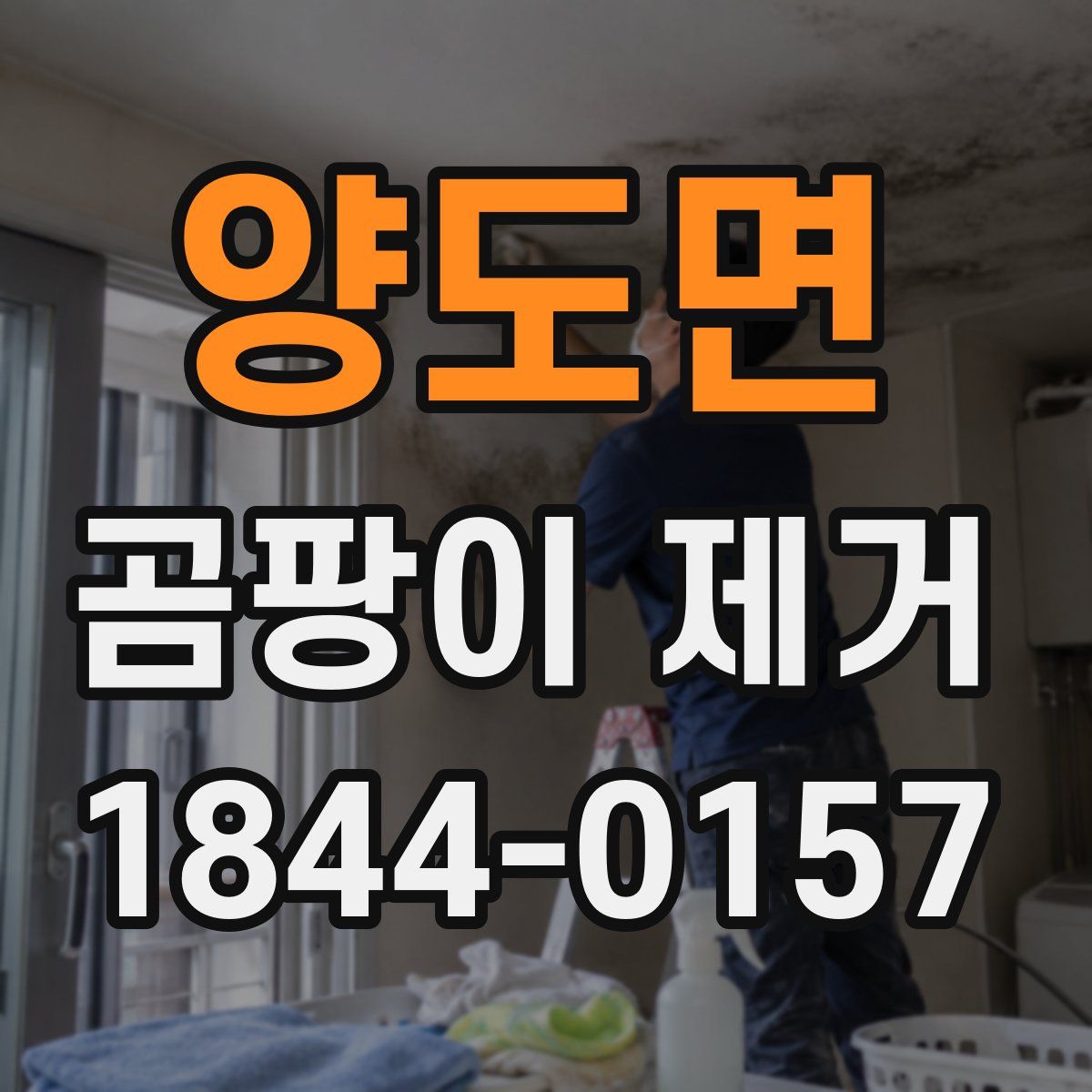 양도면 곰팡이 제거