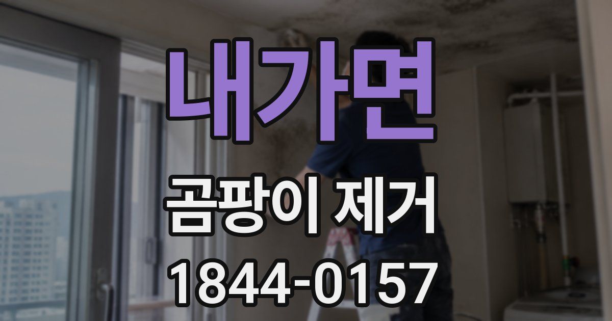 내가면 곰팡이 제거