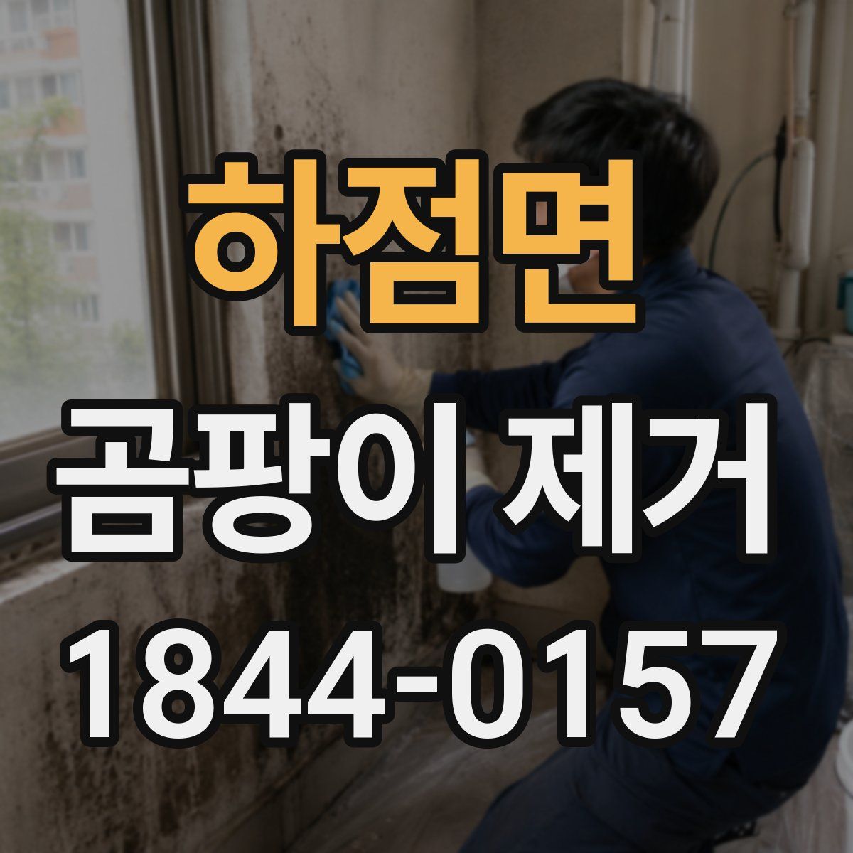 하점면 곰팡이 제거
