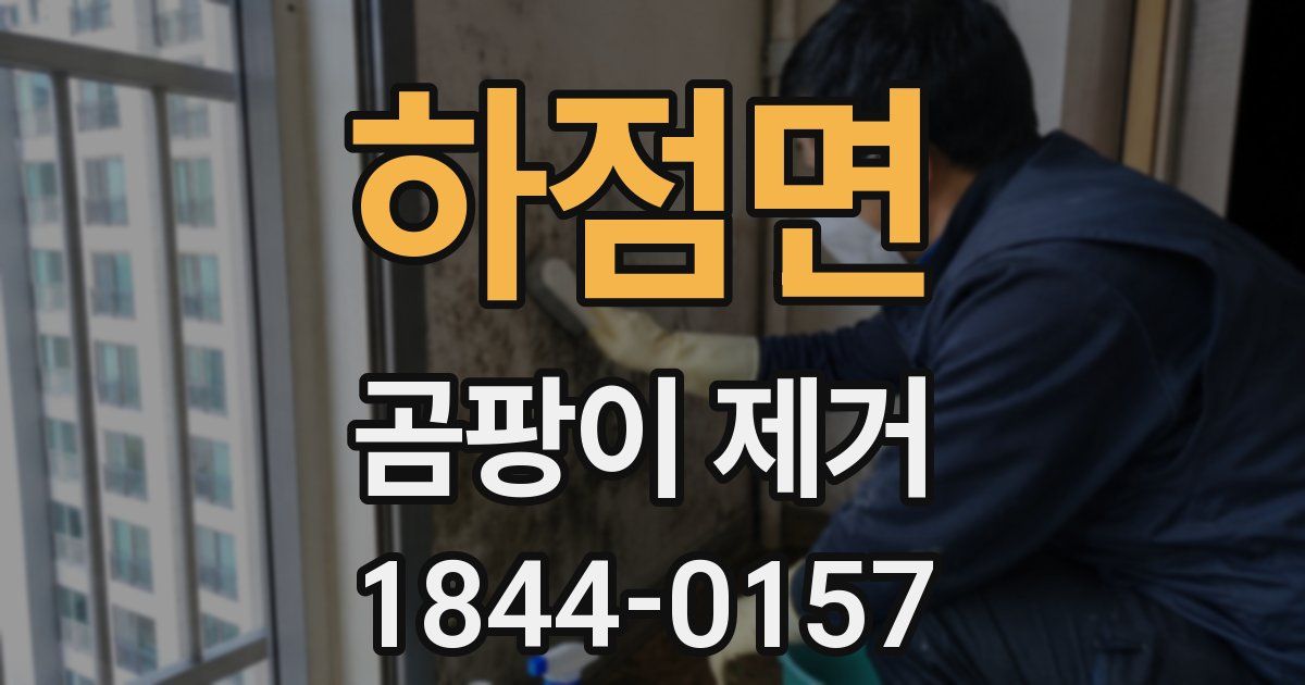 하점면 곰팡이 제거