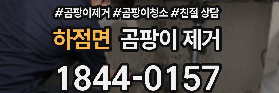 하점면 곰팡이 제거