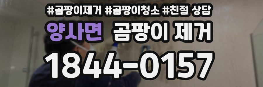 양사면 곰팡이 제거