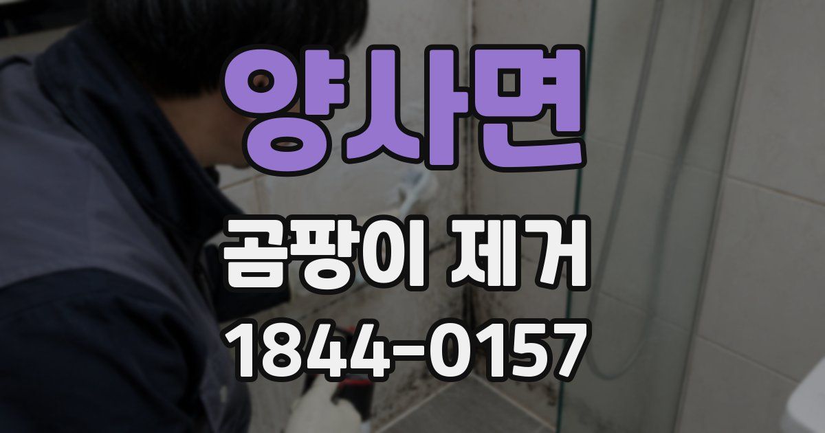양사면 곰팡이 제거