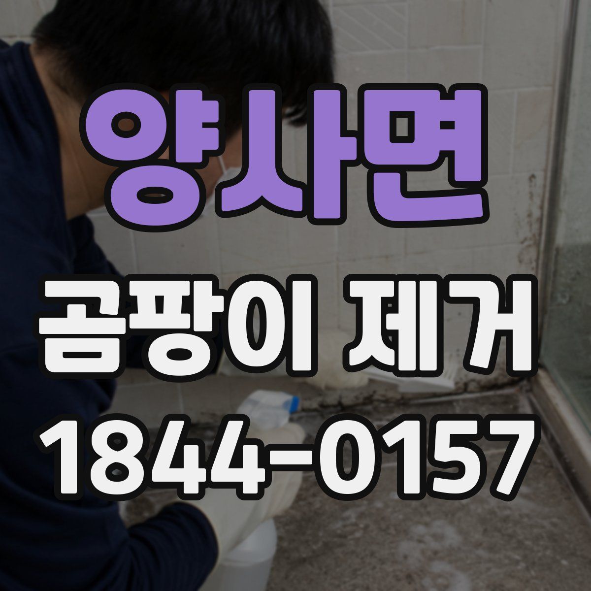 양사면 곰팡이 제거