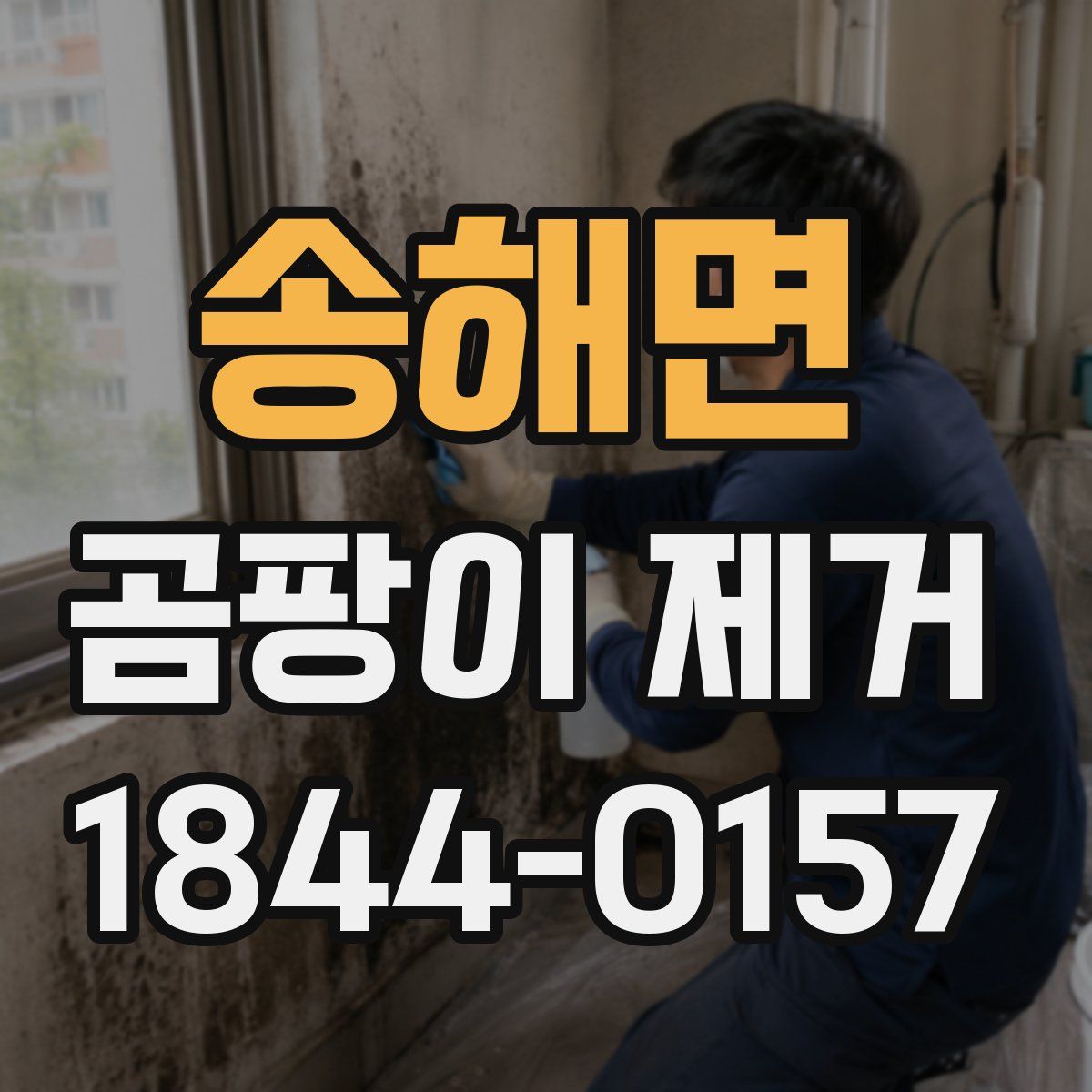 송해면 곰팡이 제거