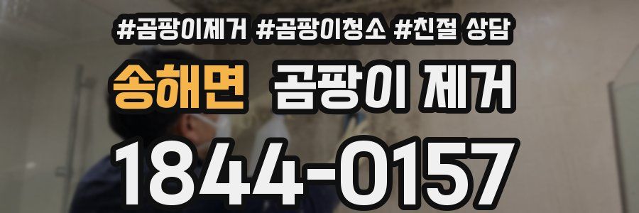 송해면 곰팡이 제거