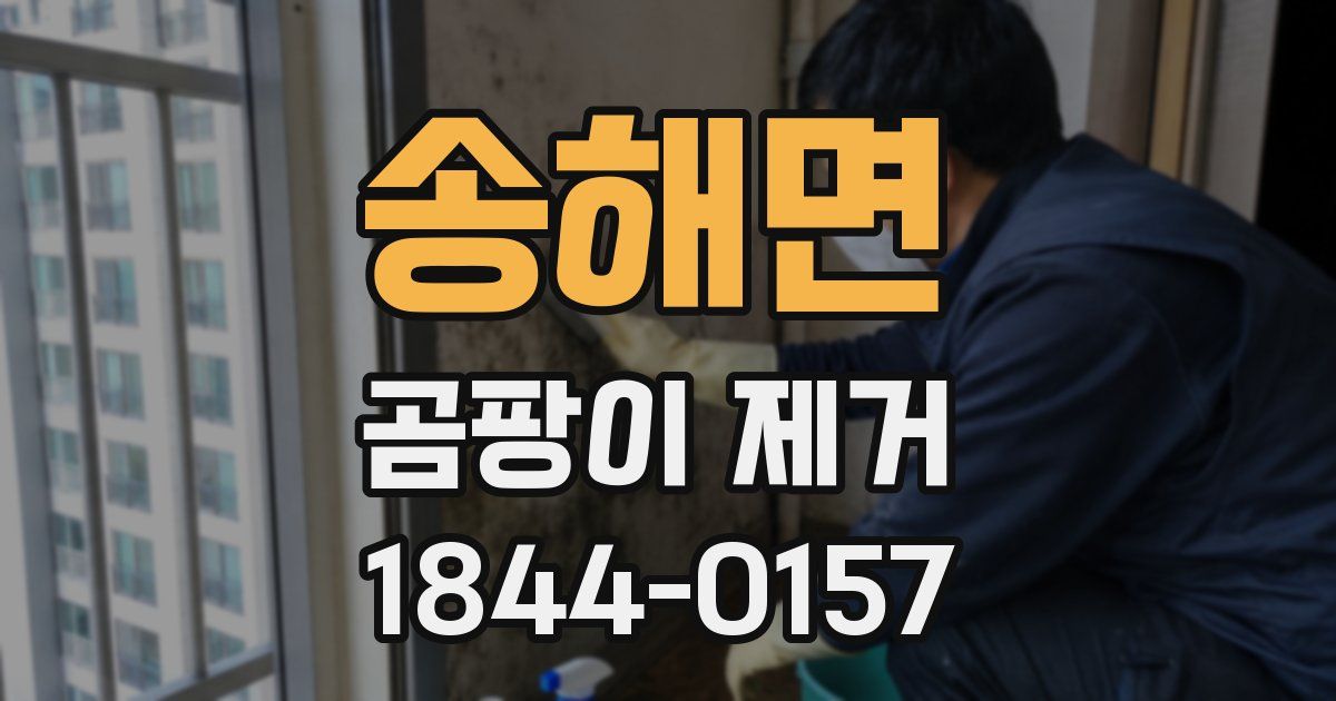 송해면 곰팡이 제거