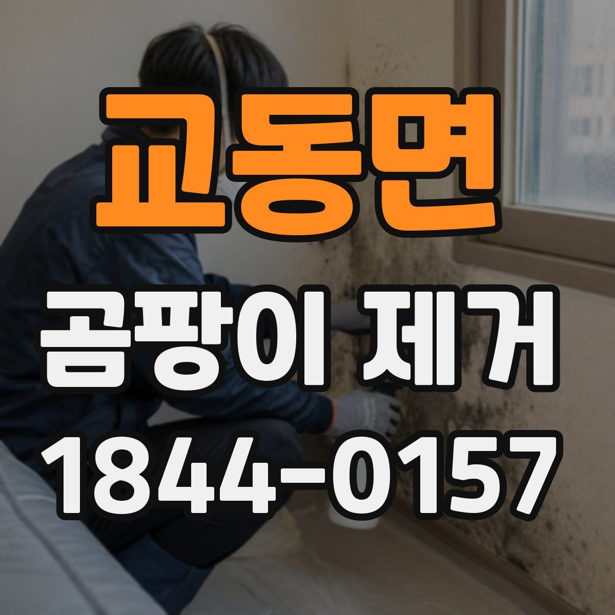 교동면 곰팡이 제거