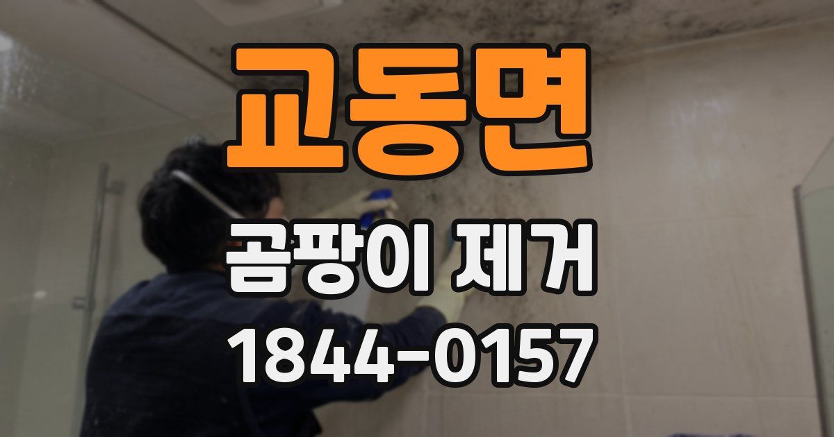 교동면 곰팡이 제거
