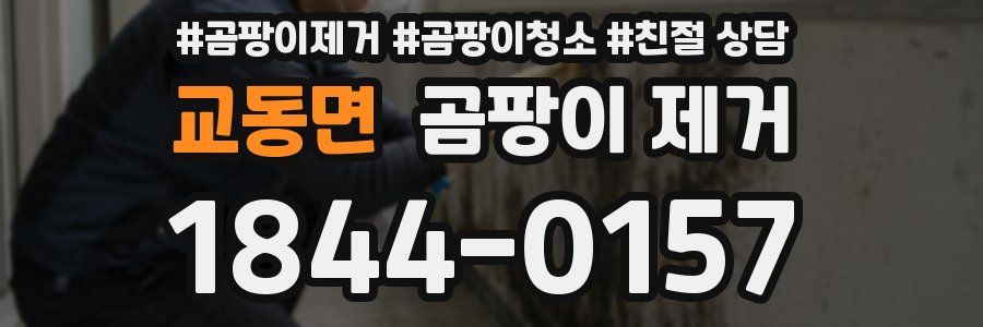 교동면 곰팡이 제거