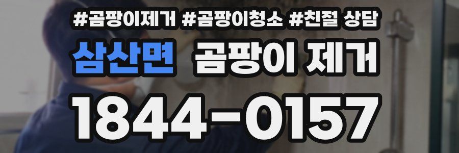 삼산면 곰팡이 제거