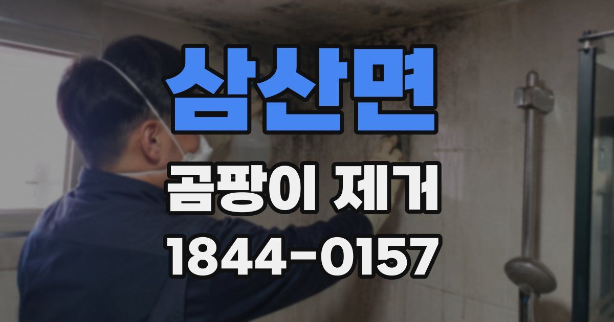 삼산면 곰팡이 제거