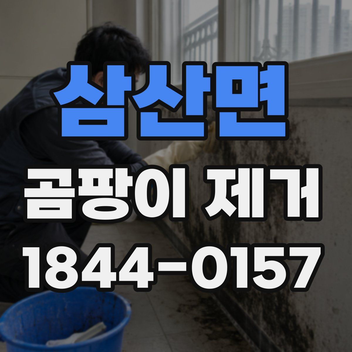 삼산면 곰팡이 제거