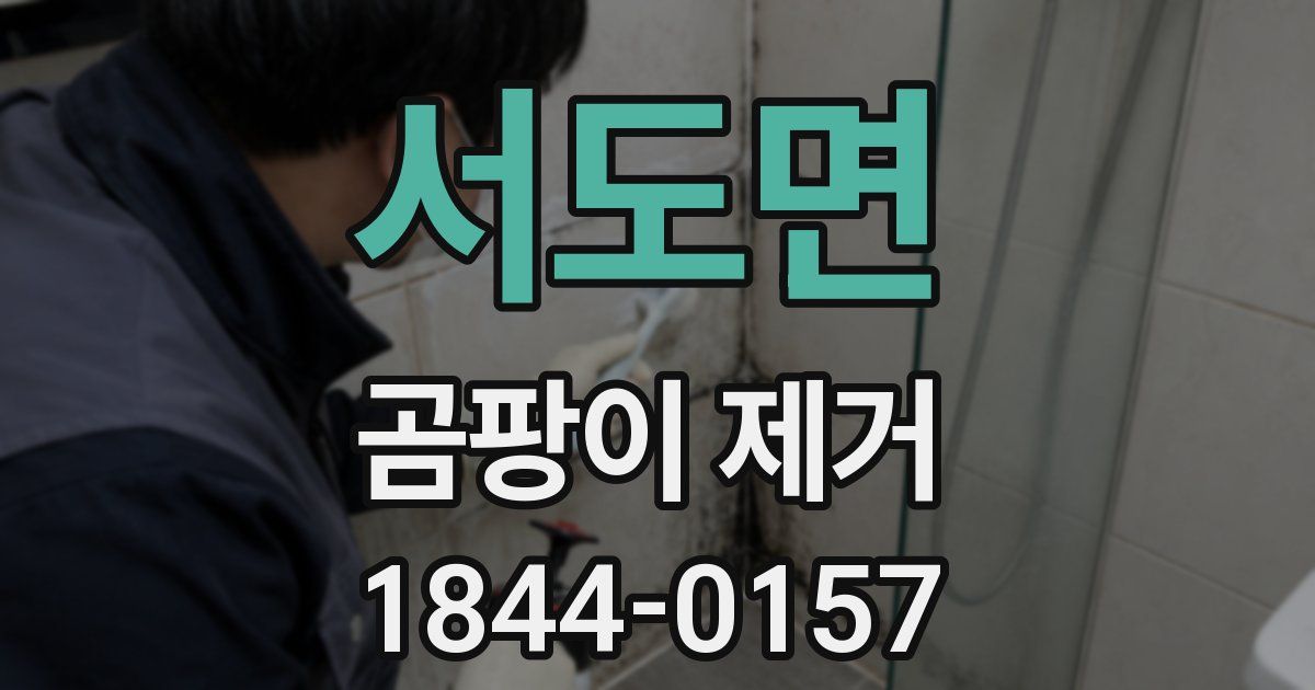 서도면 곰팡이 제거