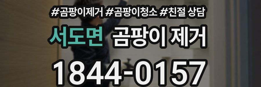 서도면 곰팡이 제거