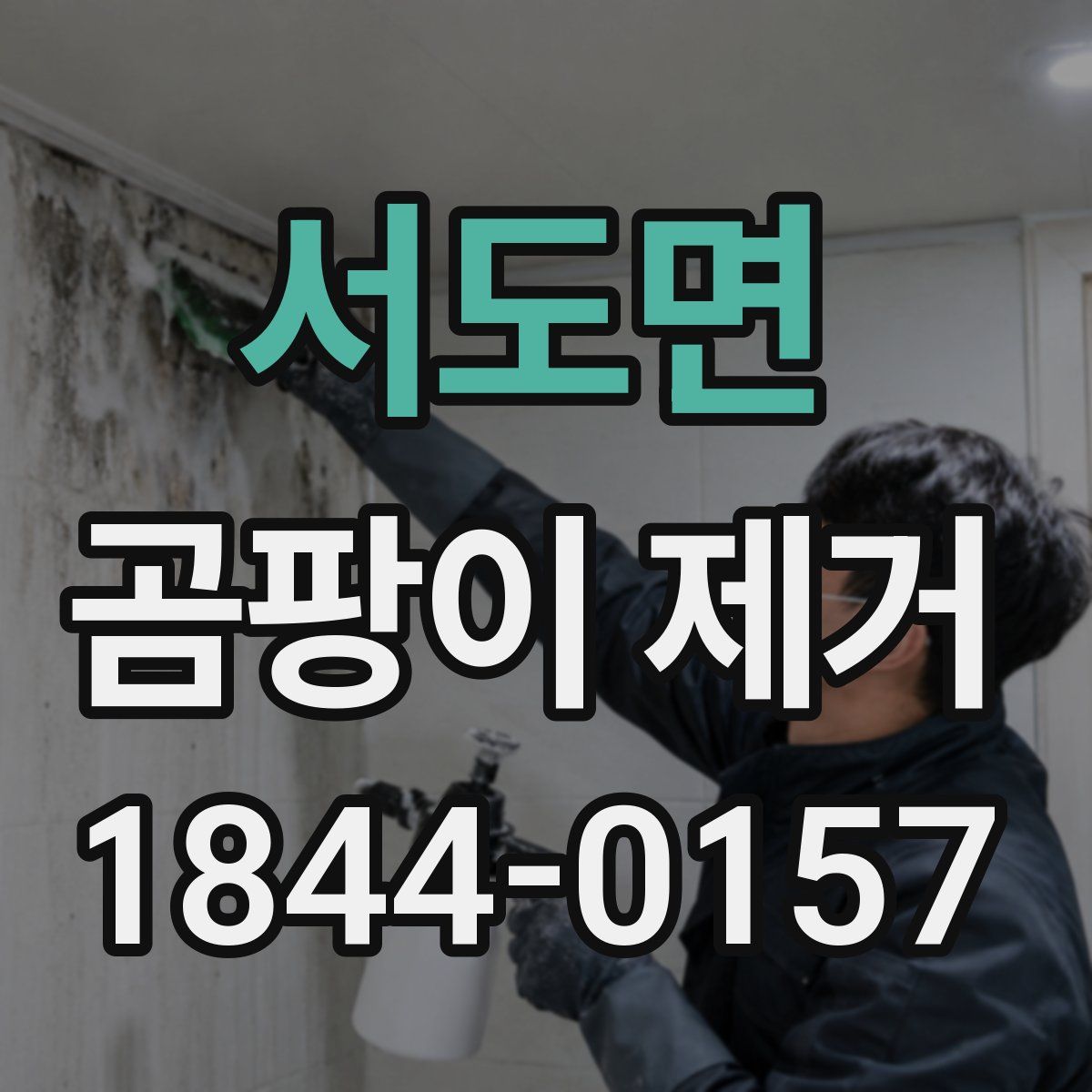 서도면 곰팡이 제거