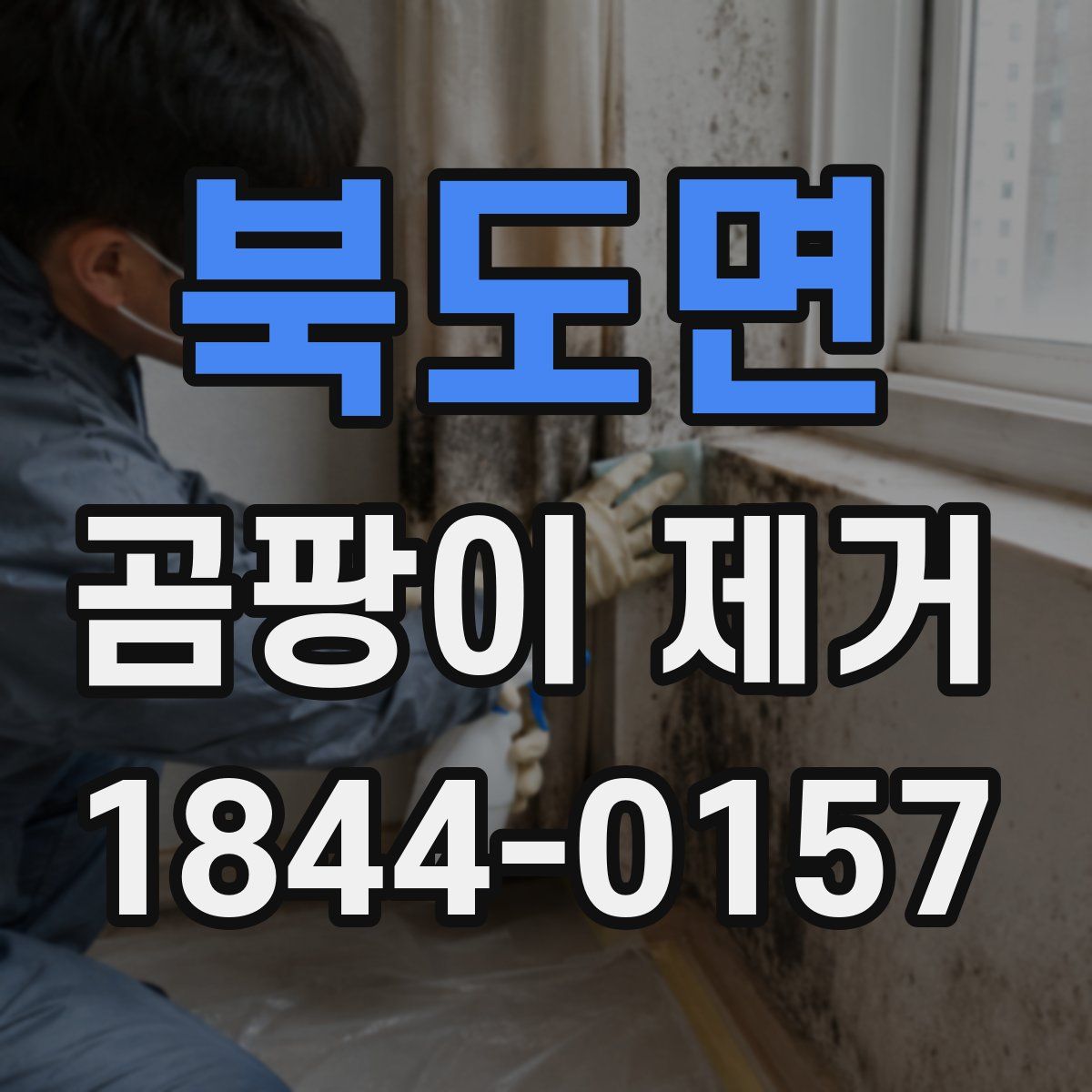 북도면 곰팡이 제거