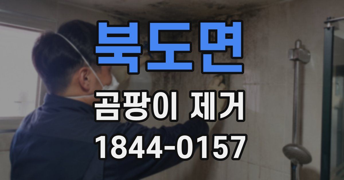 북도면 곰팡이 제거