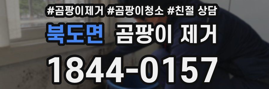 북도면 곰팡이 제거