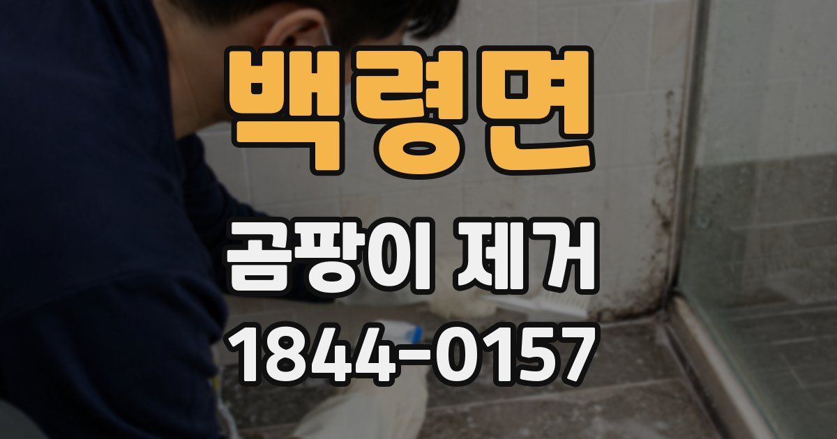 백령면 곰팡이 제거