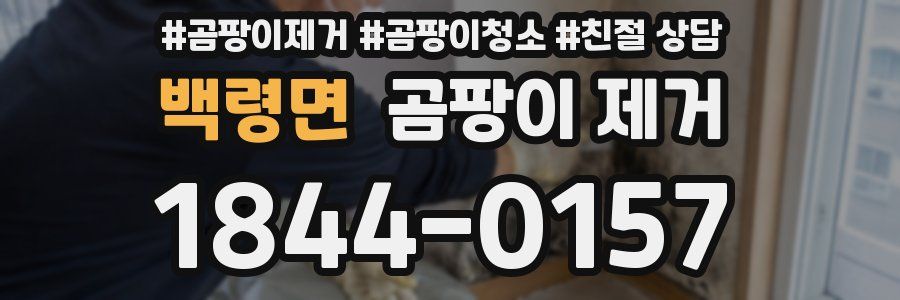 백령면 곰팡이 제거